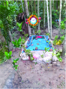 Photo of মো: আমিনুল ইসলাম সাব্বির